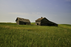 8501069-Abandoned-farmstead-in-East-Central-Alberta