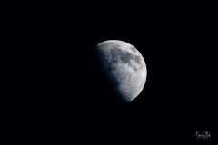 D8503180-Half-Moon_