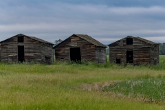 1_Abandoned-graineries-near-Grande-Prairie-Alberta_8502956