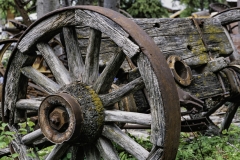 2019_8500544-_Wagon-Wheel