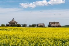 D8505101-Abandoned-Farmstead-near-Vulcan-Alberta