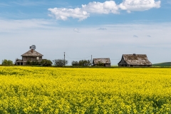 D8505101-Abandoned-Farmstead-near-Vulcan-Alberta