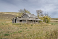 Abandoned homestead near Carbon, Alberta