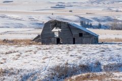 D850_7456-Abandoned-Barn-and-stable-near-Three-Hills-Alberta