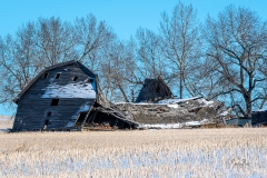 D850_7412-Abandoned-Barn near Three Hills