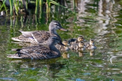 D8503180-Proud-Parents