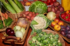 8507778-Autumn-Fruits-and-Vegetables