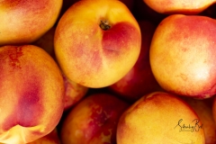 Nectarines-3