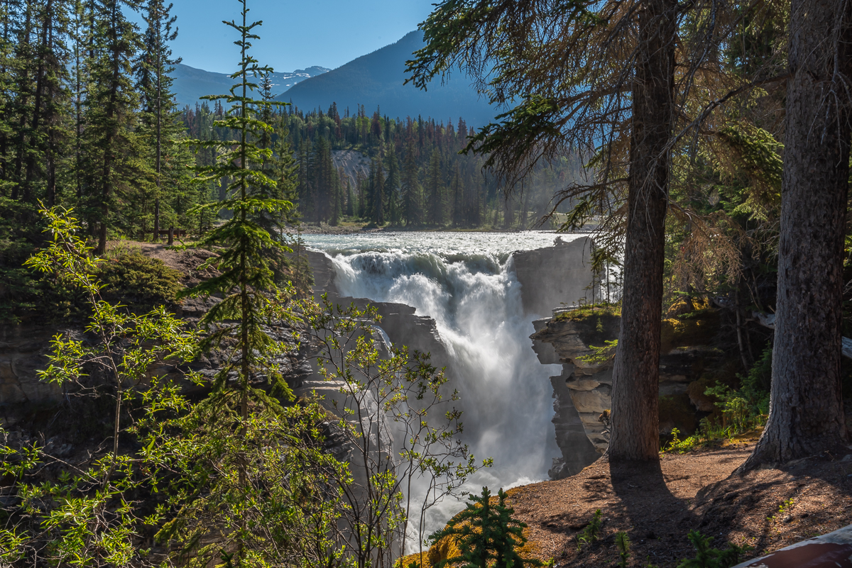 Athabasca-Falls-