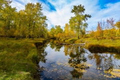 1_Autumn-Colurs-of-Carburn-Park