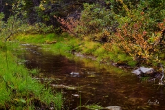 8507502-Stream-on-Smith-Dorian-Trail_