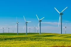 D8504866-Wind-Turbines-southern-Alberta-1