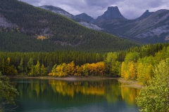 D8505512-Wedge-Pond-in-Kananaskis-Park-Alberta