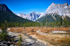 D8507933-Mount-Michael-and-Emerald-Peak-Emerald-Lake-Yoho-National-Park