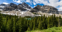 Bow Lake , Banff National Park 8502882