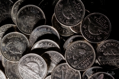 D8506700-Candian-Nickels