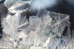 Frozen Soap Bubble Ice Crystals Closeup