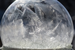 Frozen Soap Bubble-6