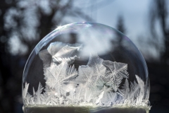 Frozen Soap Bubble
