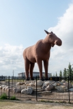 DSC_7171-Hornless-Moose-statue-in-Moosejaw-Saskatchewan