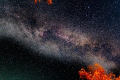 D850_5153-Night-Sky-Emma-Lake-Saskatchewan