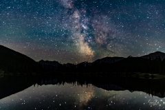 ForgetMeNot-Pond-6