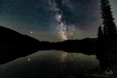 ForgetMeNot-Pond-7