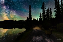 ForgetMeNot-Pond-9