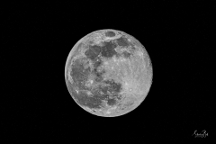 Moon-with-some-stars-D8502401
